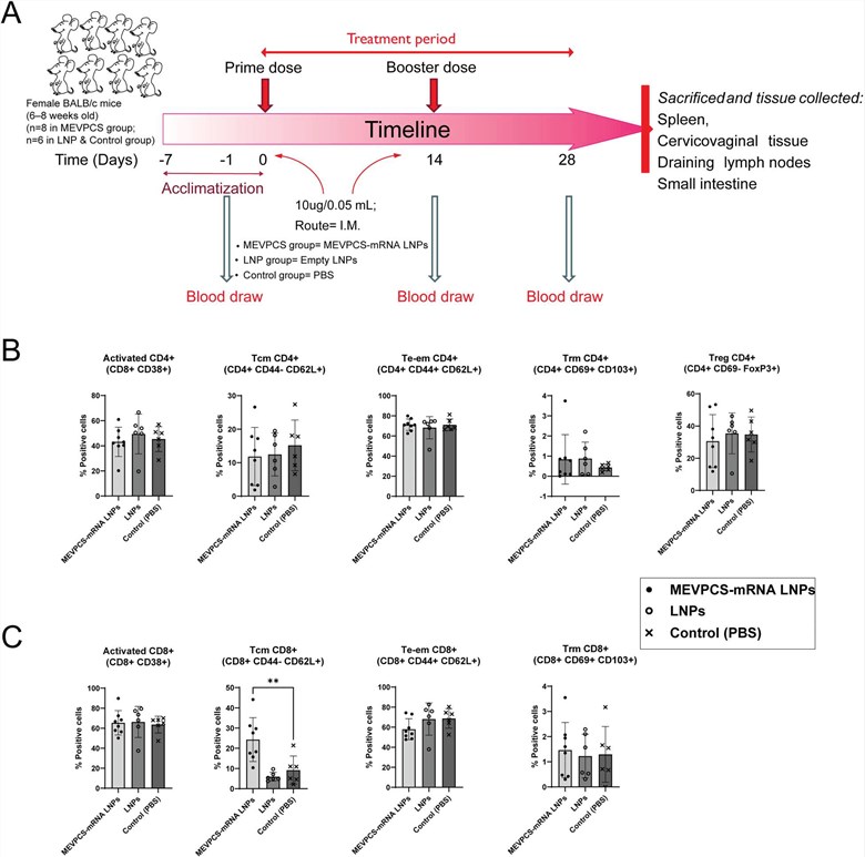 Fig.1 Exploring the in vivo efficacy of mRNA vaccines. (OA Literature)